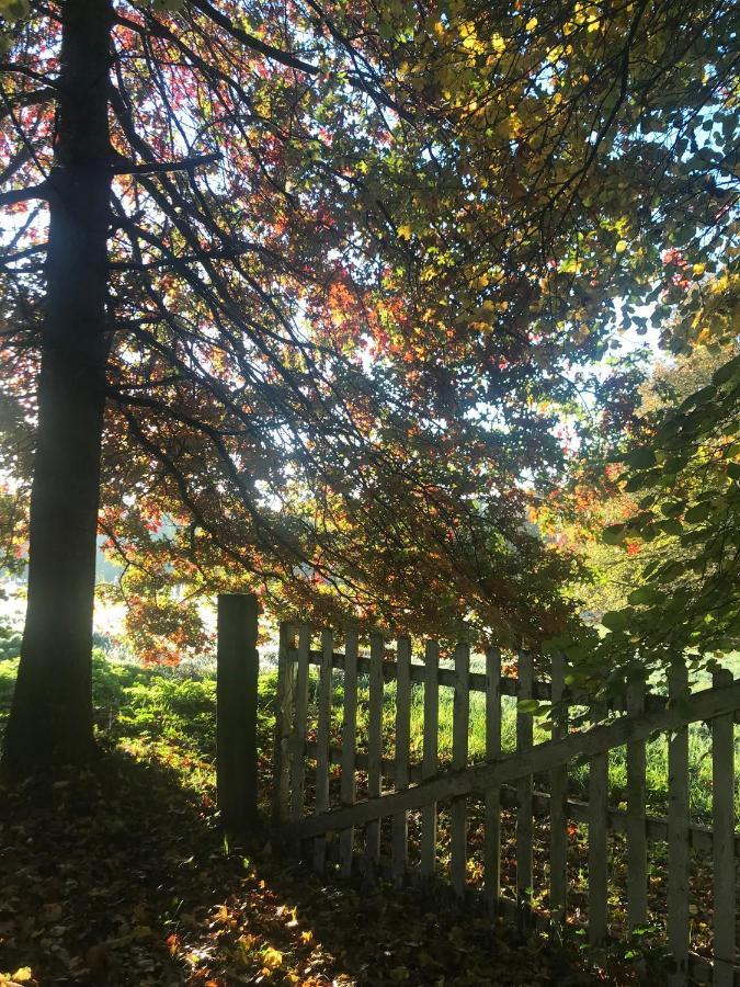 Chambre D'Hotes La Ferme Du Pre-Martin La Genevraie Zewnętrze zdjęcie